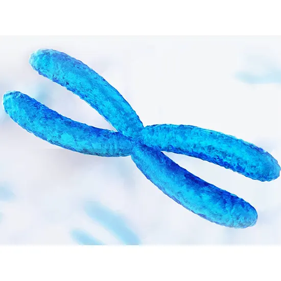 Chromosomal Microarray (350k)